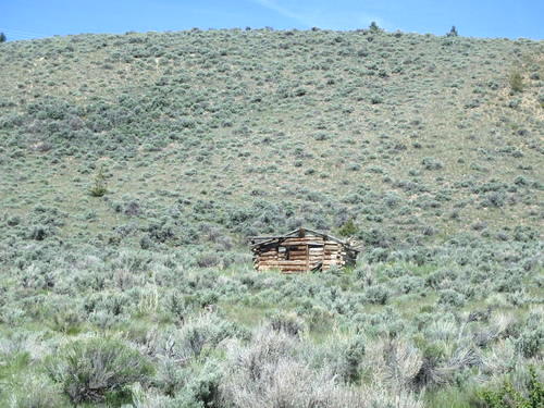 GDMBR: Old Cabin or Line Shack.